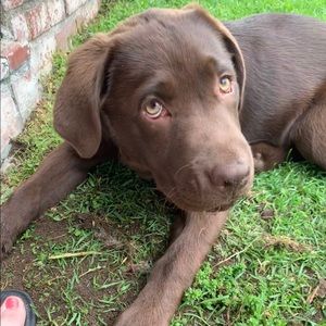 Meet your Posher, Olivia